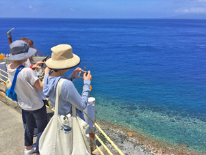 御蔵島の綺麗な海