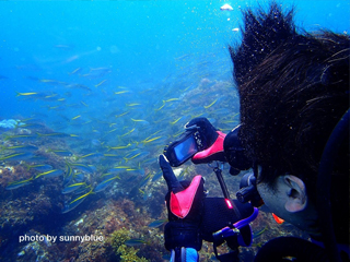 魚まみれの初島体験ダイビング