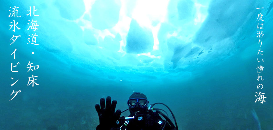 知床流氷ダイビングツアー