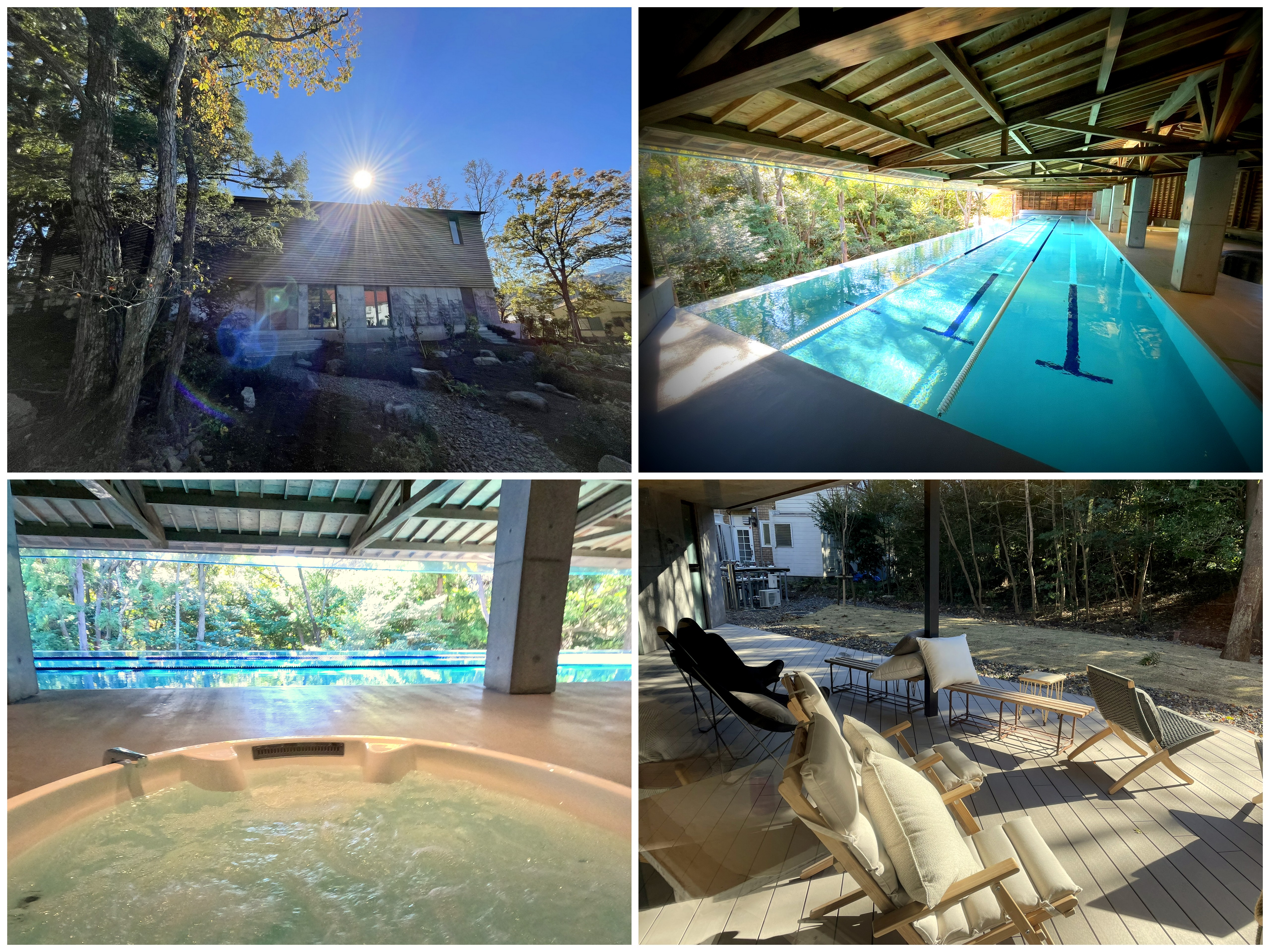 奄美大島ホエールスイム