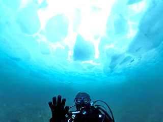 知床流氷ダイビングツアー